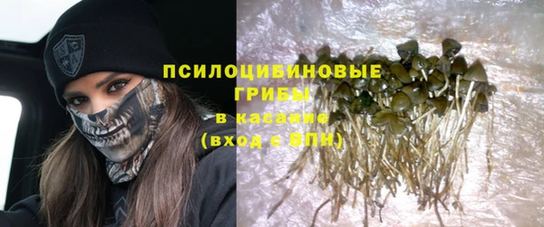 ешки Сатка