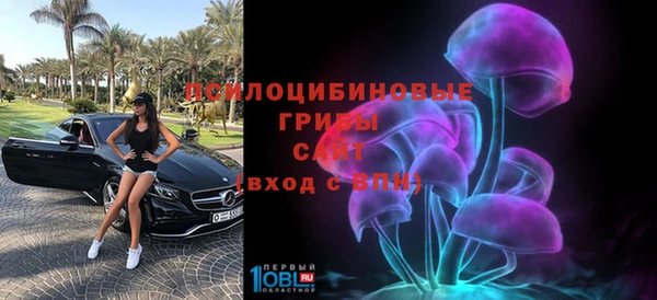 сатива Саяногорск