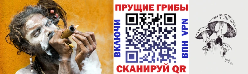 купить  сайты  Белоусово  Псилоцибиновые грибы Psilocybine cubensis 