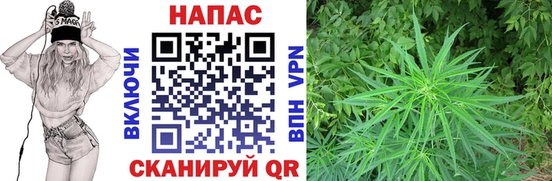Каннабис план  купить наркотик  Белоусово 